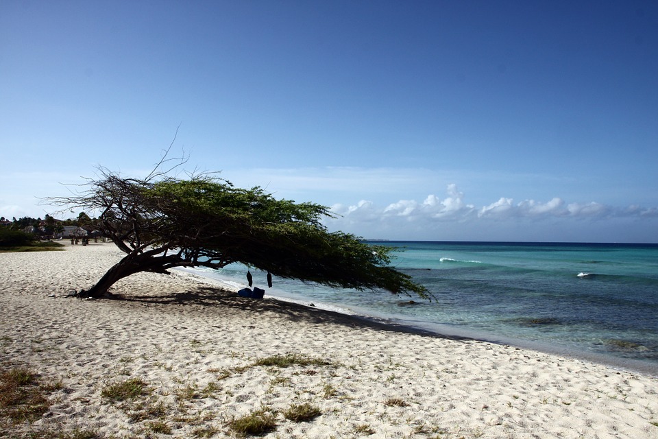 ARUBA: One Happy Island